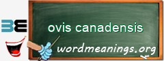 WordMeaning blackboard for ovis canadensis